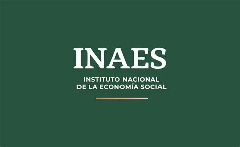 Tr Pticos Sobre El Instituto Nacional De La Econom A Social Instituto