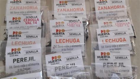 C Mo Conseguir El Kit De Semillas Que Entrega Gratis El Inta Prohuerta