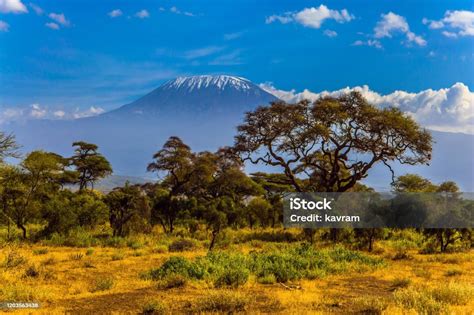 Amboseli Is A Biosphere Reserve Stock Photo - Download Image Now - Acacia Tree, Africa, Amboseli ...