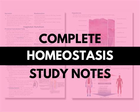 Homeostasis Powerpoint Middle School at Douglas Sexton blog