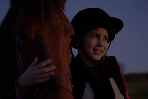 One Equine – Equine Assisted Therapy and Learning