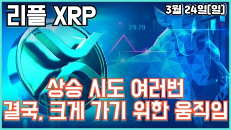 리플 Xrp 상승 시도 여러번 결국 크게 가기 위한 움직임 Youtube