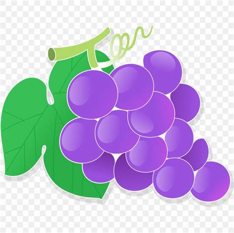 Grape Cartoon Drawing, PNG, 1181x1181px, Grape, Animation, Cartoon ...