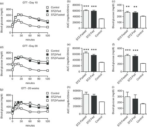 Fasting Does Not Alter Streptozotocin STZ Induced Hyperglycemia In