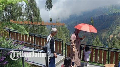 6 Tempat Wisata Di Pasuruan Yang Lagi Hits Kunjungi The Nature Bromo