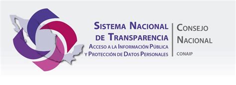 Instituto De Transparencia Acceso A La Información Pública Protección