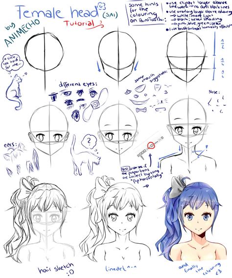 Manga Girl Head Tutorial on PaintToolSai by Animecho on DeviantArt