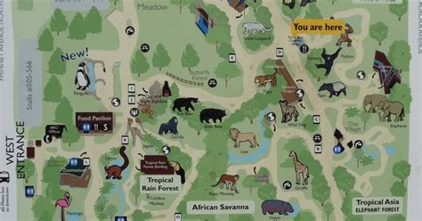 Seattle Zoo Map