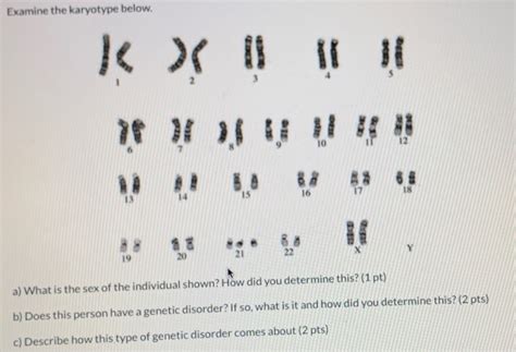 Describe An Individual With The Karyotype Shown