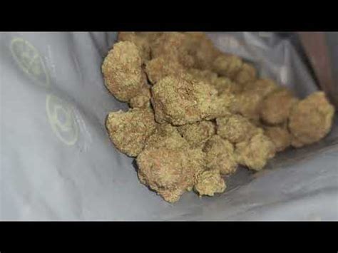 California Octane Strain Days Flower Youtube