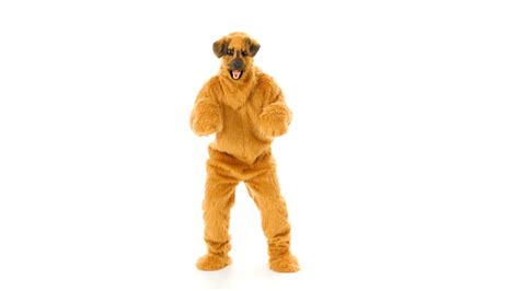 Dog Suit For Adults With Mouth Mover Mask