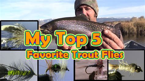 My Top 5 Favorite Trout Flies The Best Flies For Trout Opinion Fly