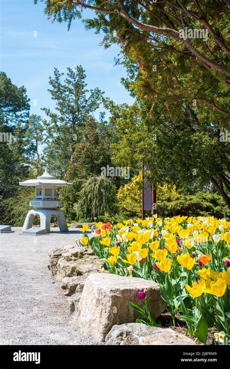 Royal Botanical Gardens Rock Garden Stock Photo Alamy