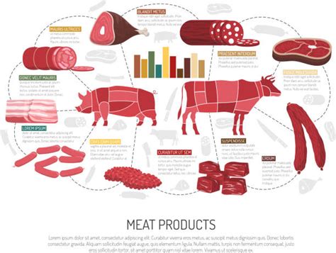 supermarket meat section illustrations royalty  vector graphics