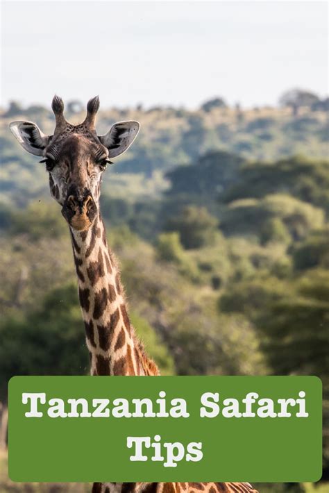 Tanzania Safari Tips For Travellers. 11 Things To Know And Prepare For! - Tips For Travellers