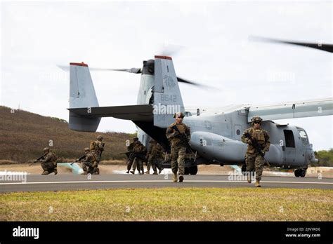 U S Marines With 3d Littoral Combat Team 3rd Marine Littoral Regiment