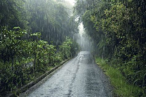 Frente fria avança e muda o tempo no Sudeste entenda Conexão Safra