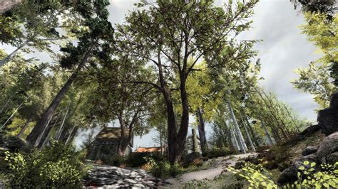 Trees Of Iduna At Skyrim Special Edition Nexus Mods And Community