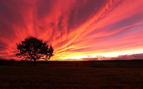 Sfondi Luce Del Sole Alberi Paesaggio Tramonto Piante Campo