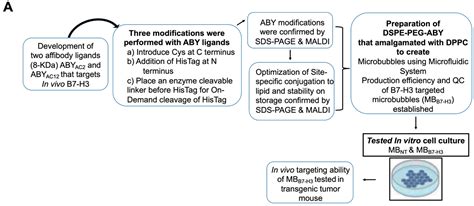 Ijms Free Full Text Synthesis And Evaluation Of Clinically