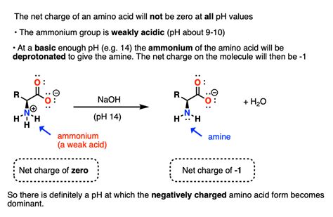 Isoelectric Points Of Amino Acids And How To Calculate Them Master Organic Chemistry