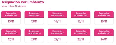 Anses Cuándo Cobro Jubilaciones Auh Suaf Y Más Conocé A Quiénes Les