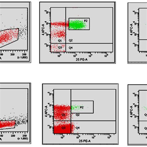 Representative Flow Cytometric Dot Plots Showing The Percentage Of Treg