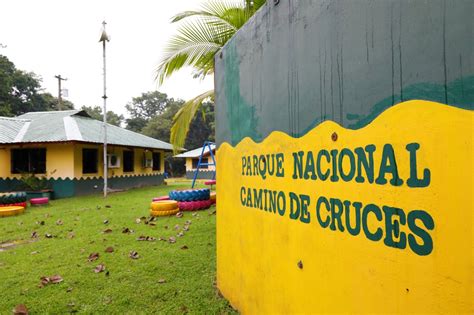 Arranca Construcci N Del Primer Hospital Gubernamental Para La Fauna