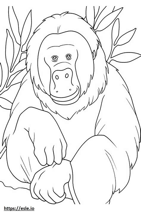 Bornean Orangutan Cute Coloring Page