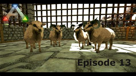 Raising Ovis And Building Them A New Home Ark Survival Evolved The