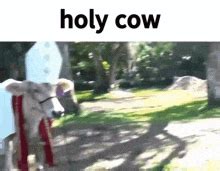 Holy Cow Omg GIF - Holy Cow Omg Wow - Discover & Share GIFs