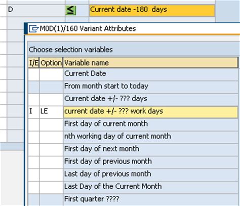 Create SAP Dynamic Variant Using Date Calculation