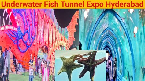 Underwater Fish Tunnel Expo 2023 Hyderabad 1st Time In Hyderabad YouTube