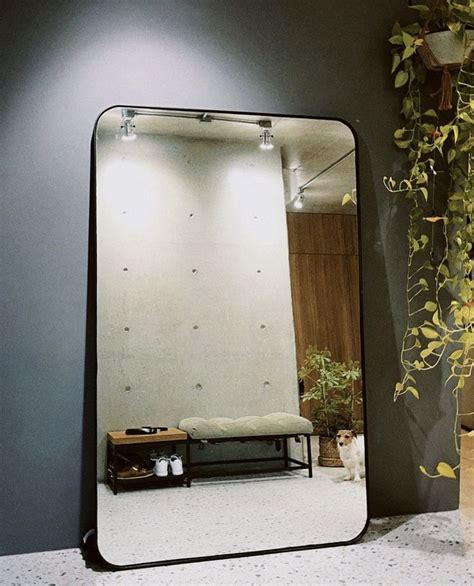 A Mirror Sitting On Top Of A Counter Next To A Plant And Potted Plant