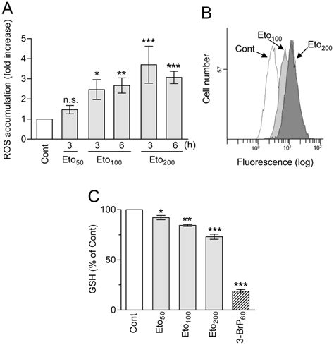 Effect Of Etomoxir On Ros And Gsh Levels In Hl Cells A B