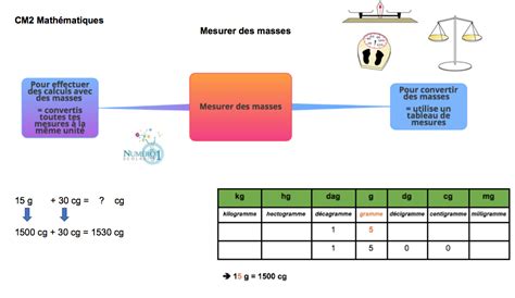 Mesurer Des Masses Leçon Et Exercices Cm2