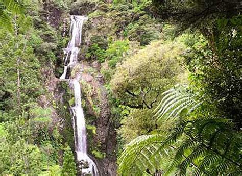 Kitekite Falls Path