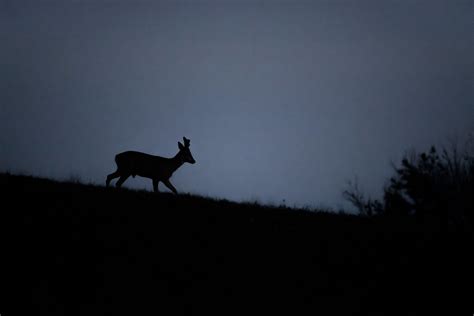 El Crep Sculo The Twilight Ivan Nouvilas Flickr