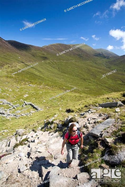 Mourne Mountains Co Down Ireland Hiker Climbing The Stone Stairway