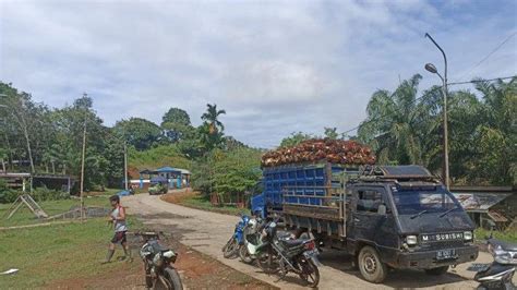 Satu Pabrik Sawit Di Bengkulu Tengah Naikkan Harga Tbs Sawit Rp