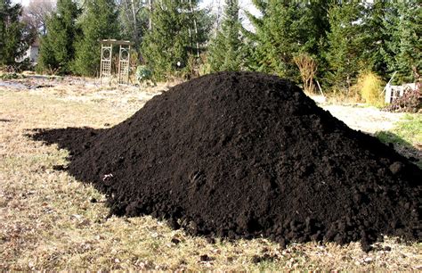 Dirt Pile