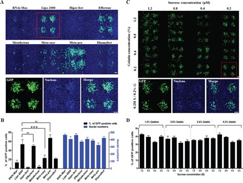 Optimization Of Cell Based Cdna Microarray Conditions For Gene