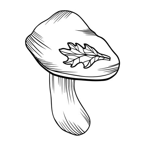 Premium Vector | Outline art clipart of mushroom vector doodle illustration