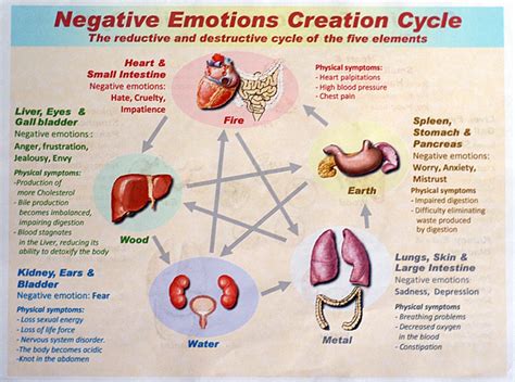 Universal Tao Healing Sounds Curatio