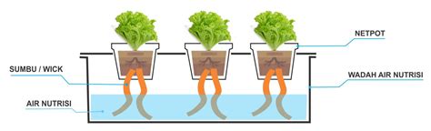 Hidroponik Sistem Wick Jurnal - Homecare24