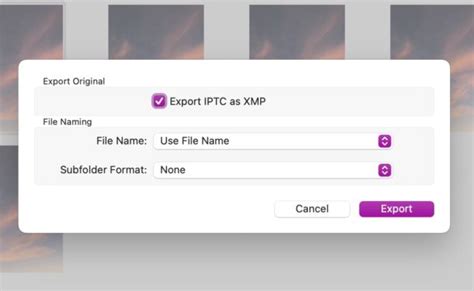 Export IPTC As XMP In Photos For Mac Explained What Does Exporting