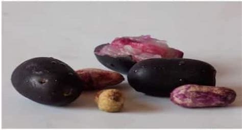 Jamun Seeds Benefits In Hindi जामुन के बीज के सेहत लाभ Thehealthsite