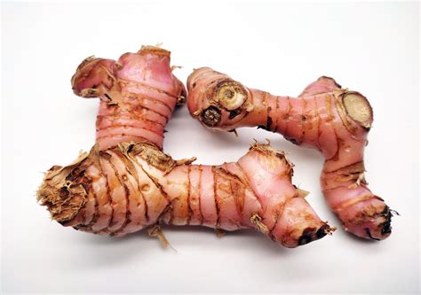 galangal or alpinia galanga isolated in white background 22123522 Stock ...
