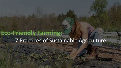 Eco Friendly Farming 7 Practices Of Sustainable Agriculture Explained