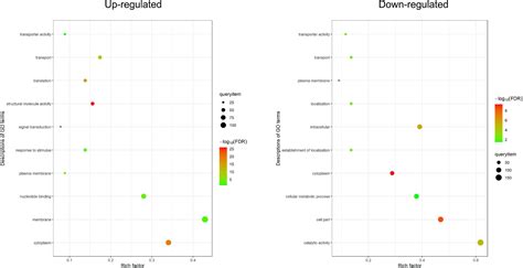 Frontiers Comparative Proteomic Analysis Of Plasma Membrane Proteins